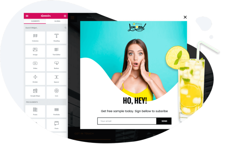 Is Elementor page builder best for 2020? The verdict is shocking!!