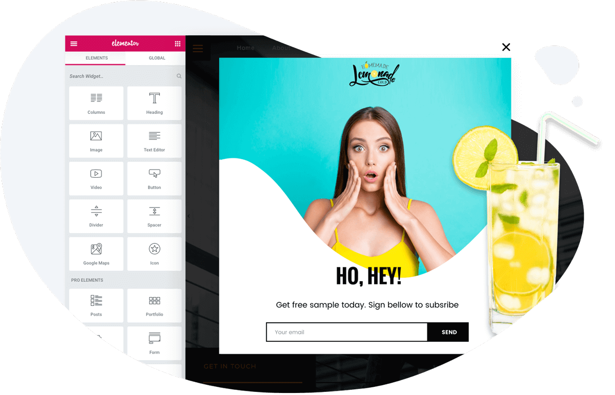 Is Elementor page builder best for 2020? The verdict is shocking!!